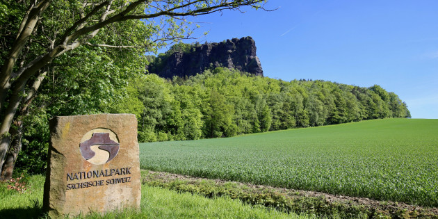 Blick auf den Lilienstein im Nationalpark Sächsische Schweiz