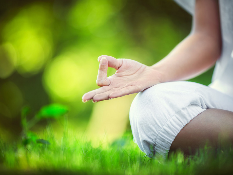 Yoga an den Elbwiesen