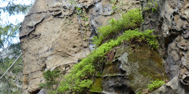 Geologie des Elbsandsteingebirges