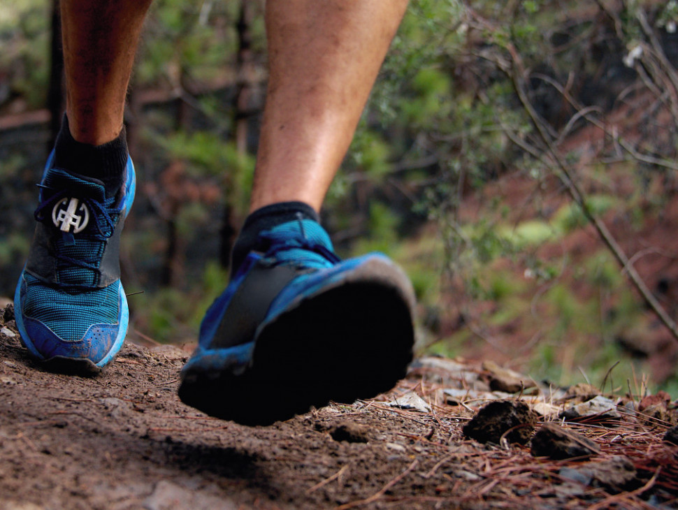 Trailrun um den Adamsberg