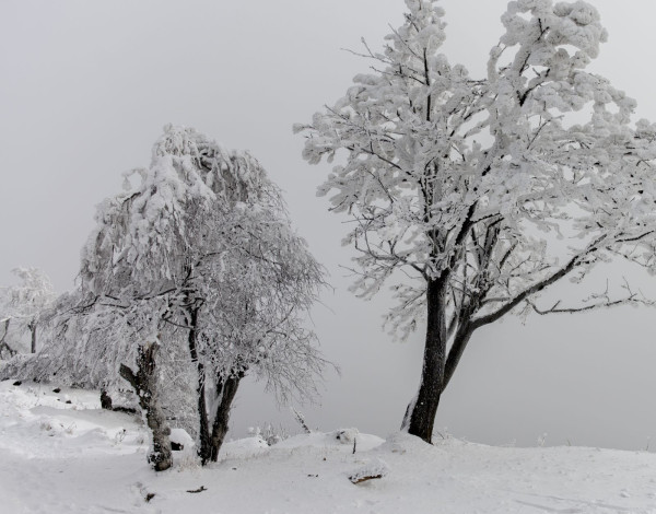Winterreise - ein Prolog, Foto: Martin Richter