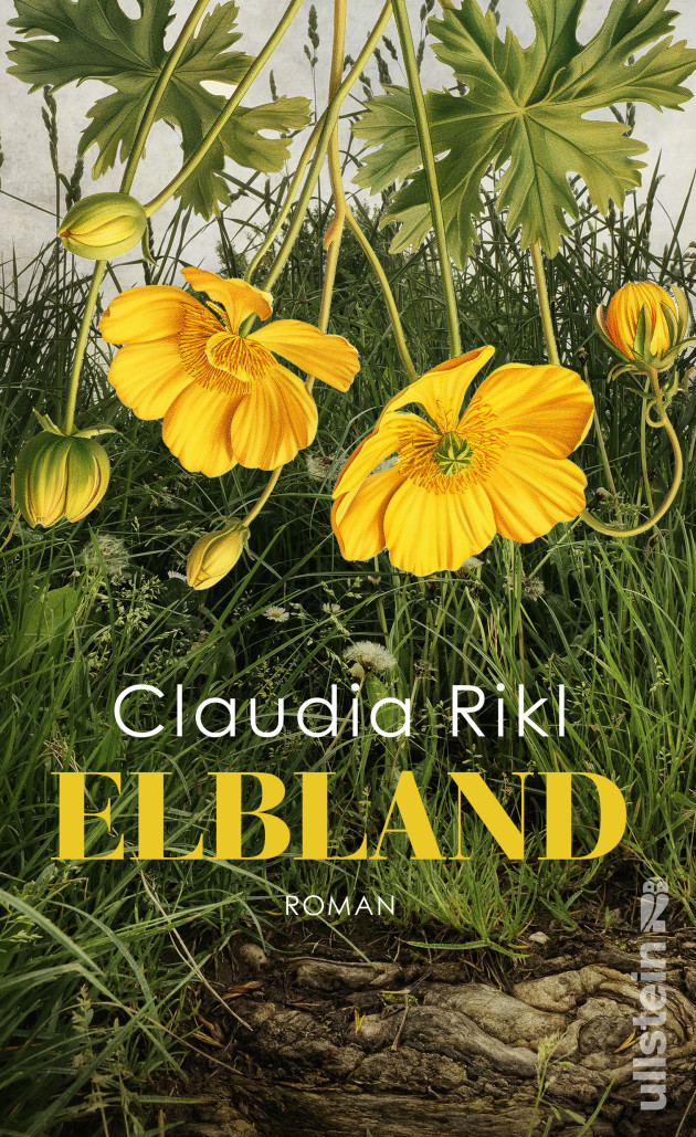 cover-elbland