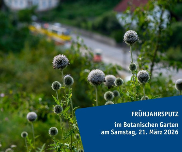 Frühjahrsputz Botanischer Garten 2026