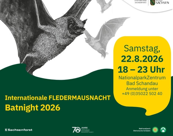 Batnight 2026 neu
